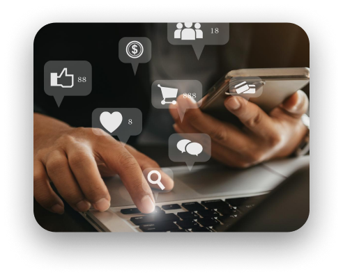 Custom Web Development Solutions interface preview